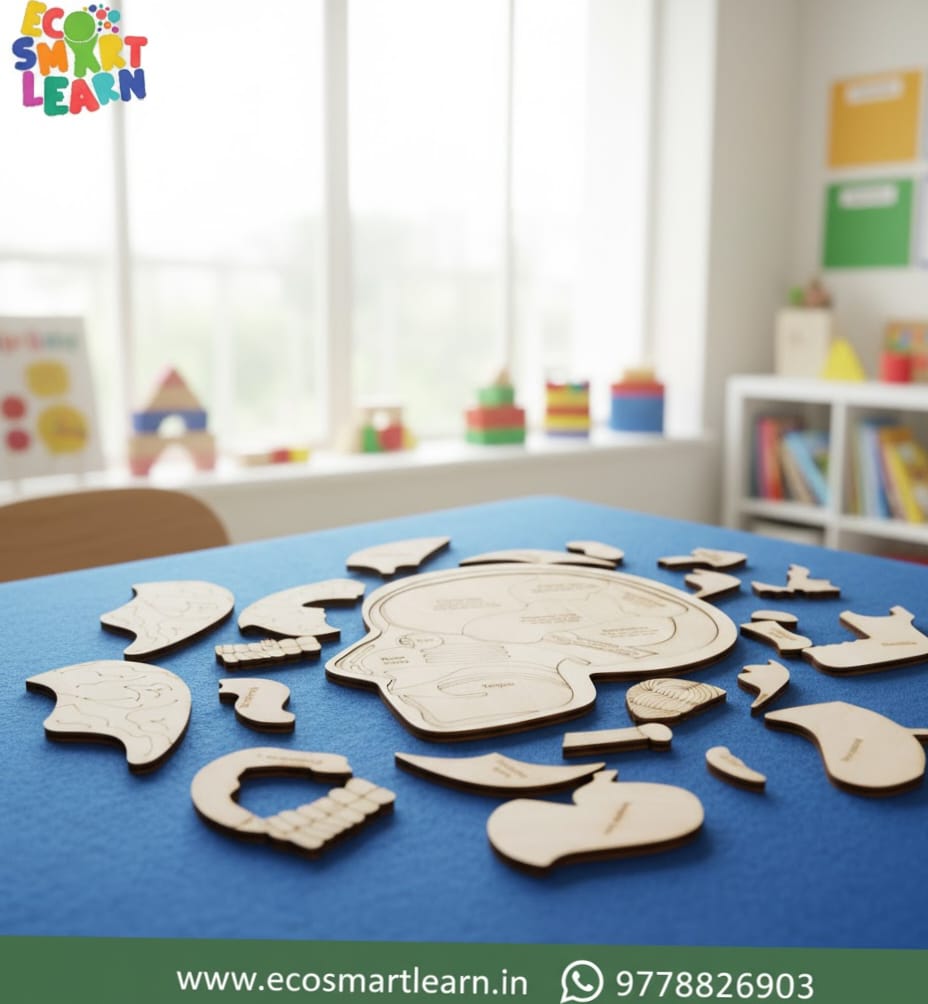 Wooden Brain Anatomy Puzzle