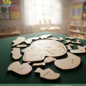 Wooden Brain Anatomy Puzzle
