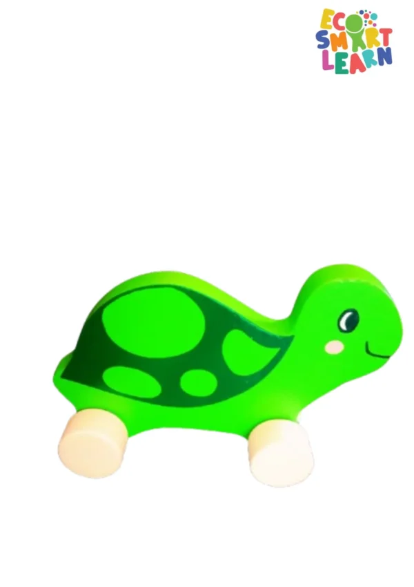 Tortoice Toys – Eco-Friendly Toy for Kids (6–24 Months)